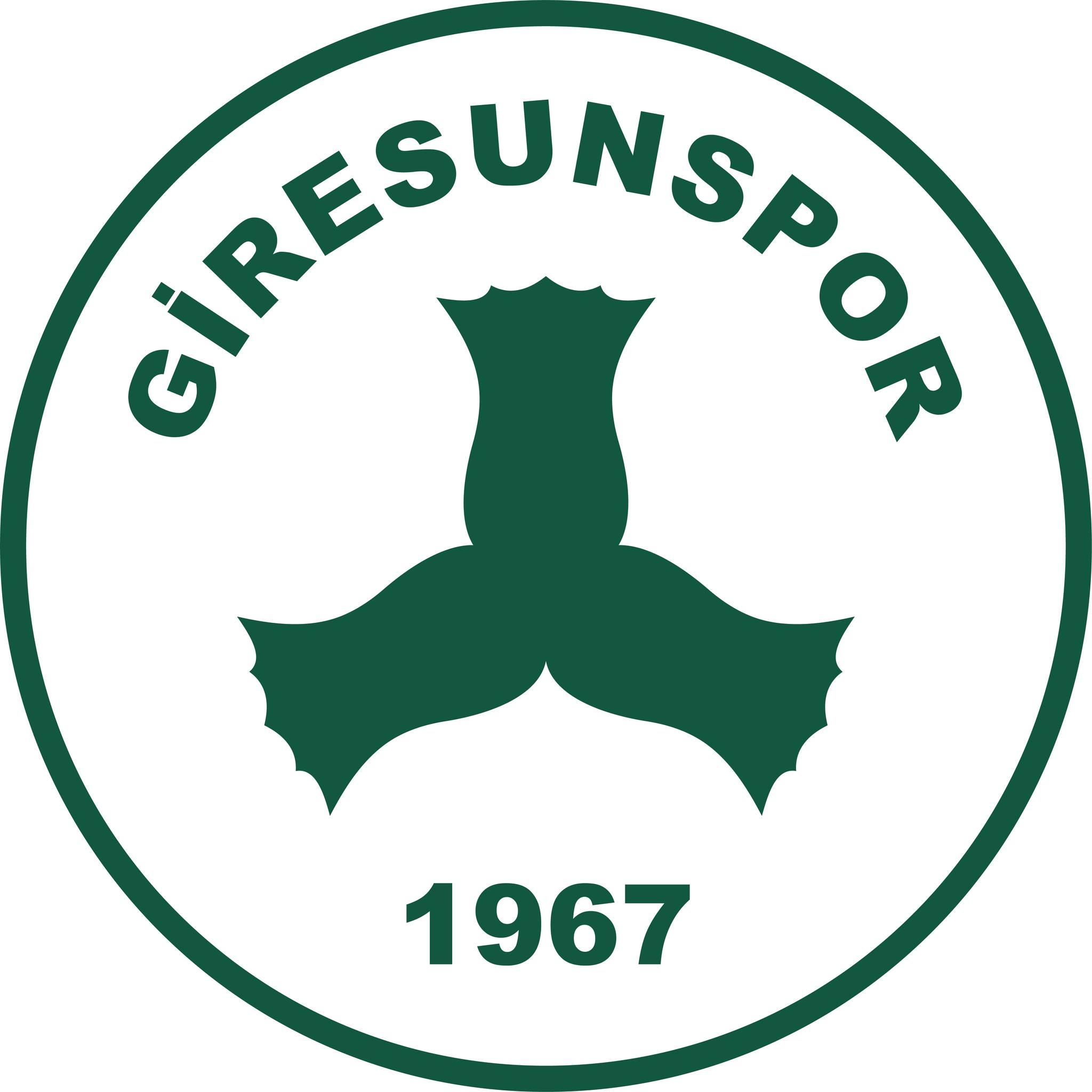 Bitexen Giresunspor