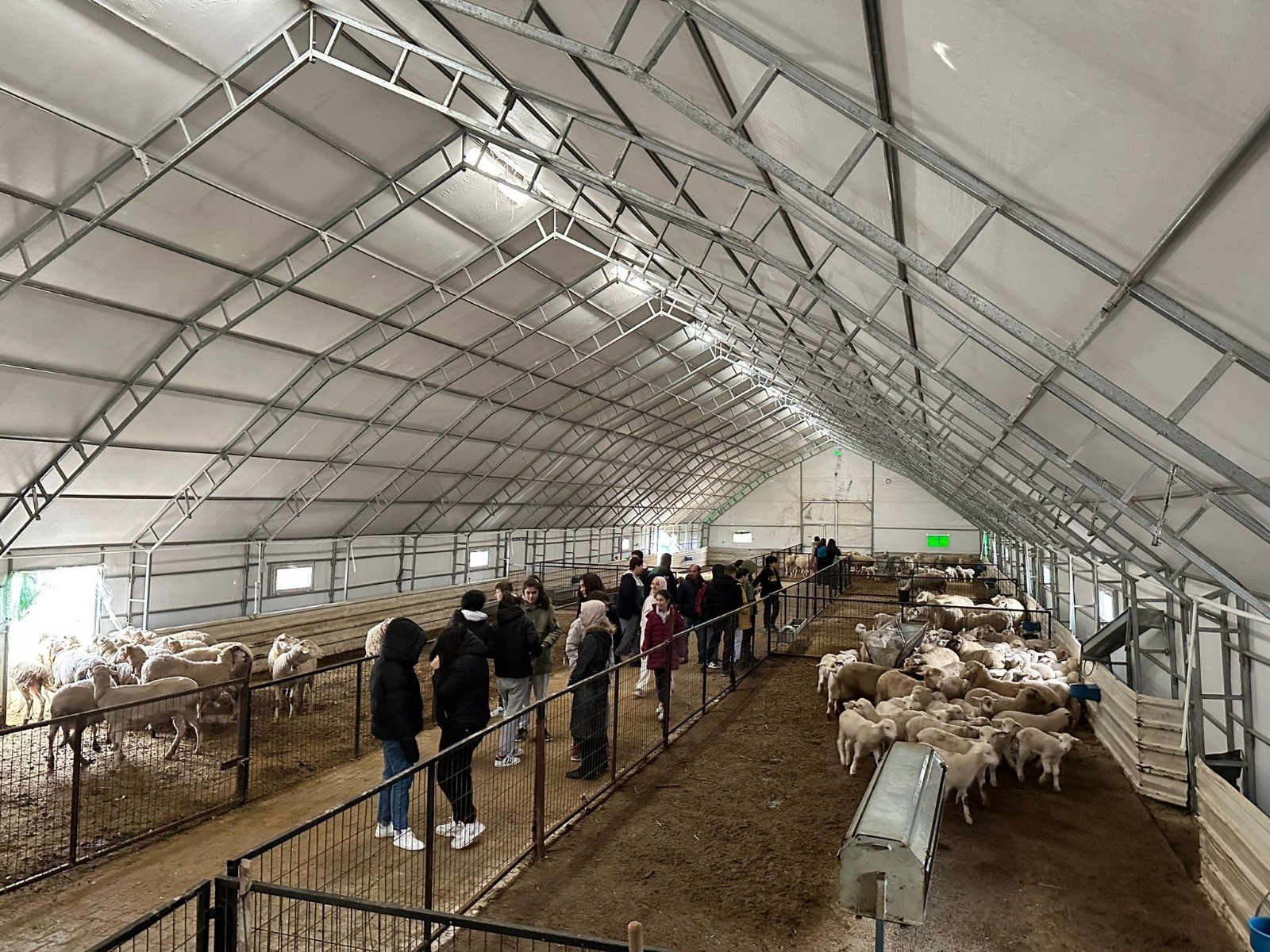 Balıkesir kuzusunda marka Sındırgı olacak