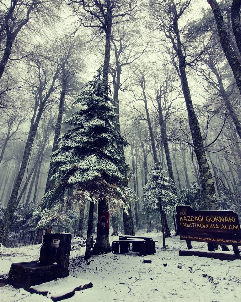 Kazdağları’nda öğlen saatlerinde başlayan