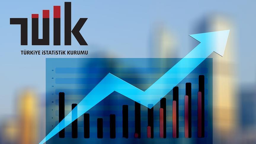 Türkiye Çocuk Araştırması, Türkiye İstatistik Kurumu (TÜİK) ile Aile ve
