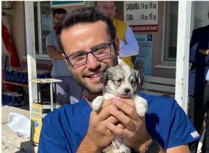 Bandırma Belediyesi sokak hayvanlarının barınma, beslenme ve tedavi ihtiyaçlarını karşılamak