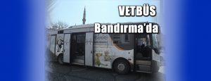 Balıkesir Büyükşehir Belediyesi’nin mobil veteriner kliniği VETBÜS, haftanın ilk durağında