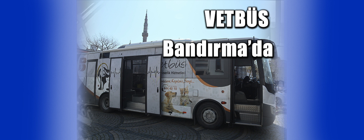 Balıkesir Büyükşehir Belediyesi’nin mobil veteriner kliniği VETBÜS, haftanın ilk durağında