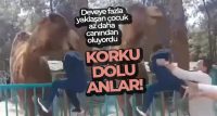 Denizli’de bulunan bir hayvanat bahçesinde 2 gün önce meydana gelen