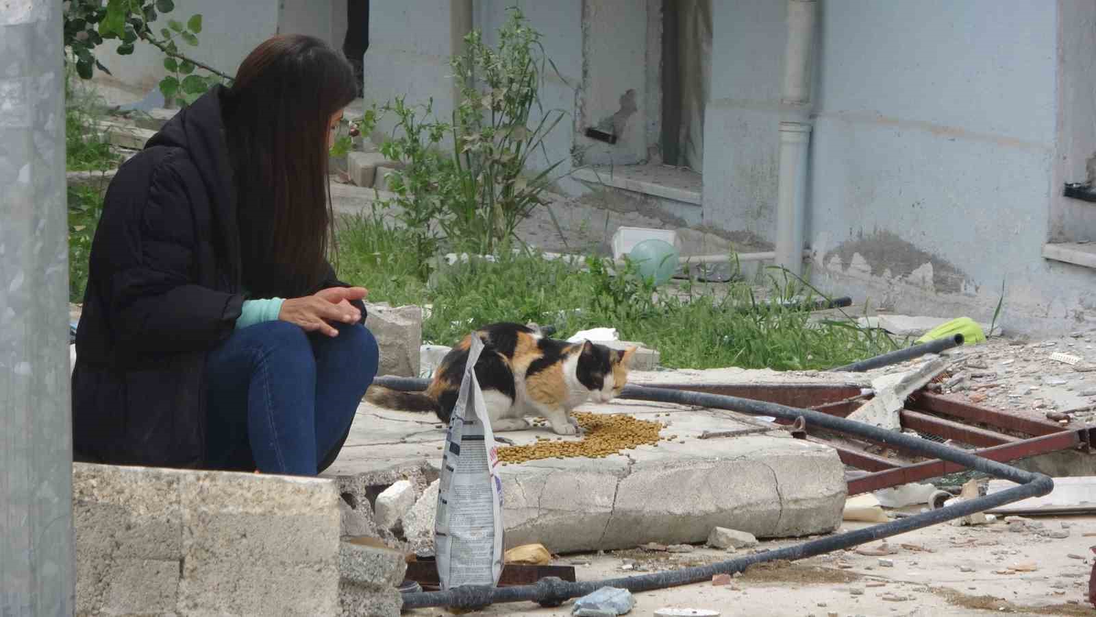 HATAY’IN ANTAKYA İLÇESİNDE YAŞANAN DEPREM SIRASINDA KAÇIRDIĞI ‘KEKİK’ İSİMLİ KEDİSİNİ