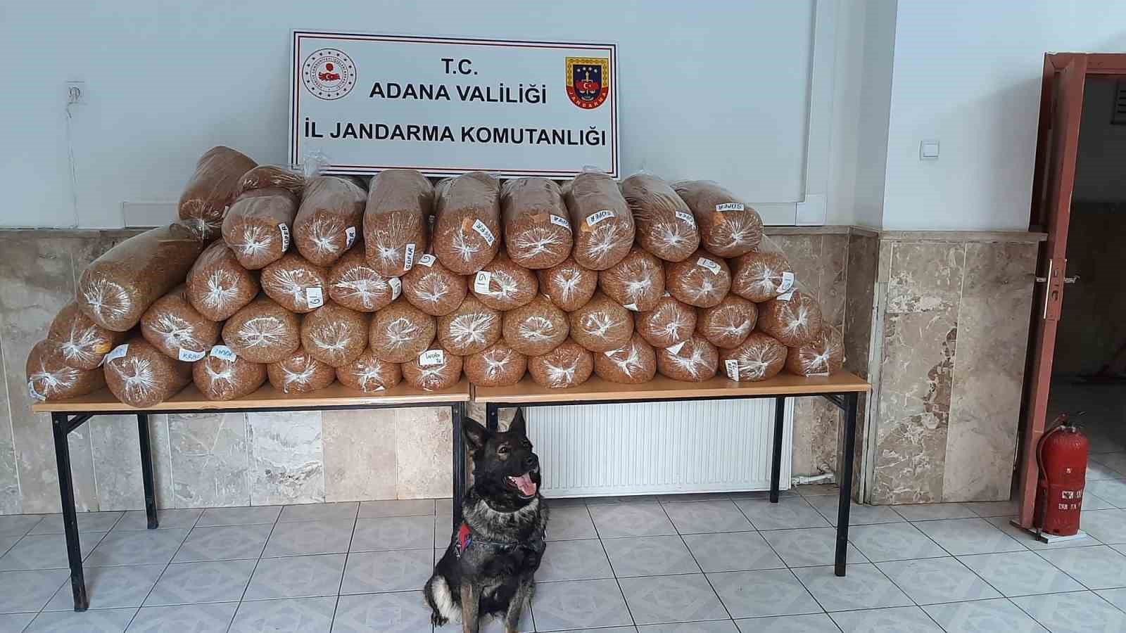 ADANA'NIN CEYHAN İLÇESİNDE JANDARMA EKİPLERİ TARAFINDAN YAPILAN DENETİMLERDE 925 KİLOGRAM