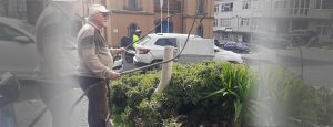 Tarihi elektrik santralı (Bandırma Santral Kültür Merkezi) önlerinde bir çiçeklik