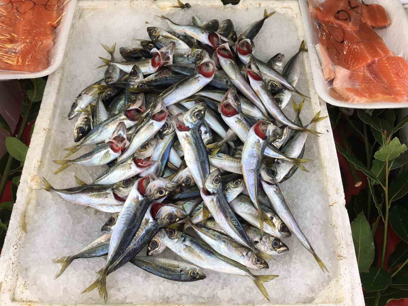 ZONGULDAK'TA AV YASAĞI VE OLUMSUZ HAVA ŞARTLARI BALIK FİYATLARINI YÜKSELTTİ