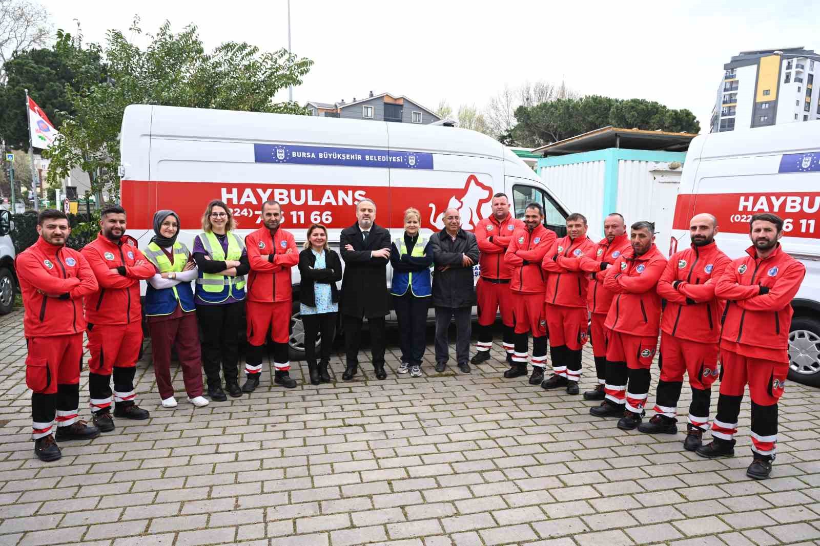 BURSA’DA SOKAK HAYVANLARI BAŞTA OLMAK ÜZERE TÜM CAN DOSTLAR ARTIK