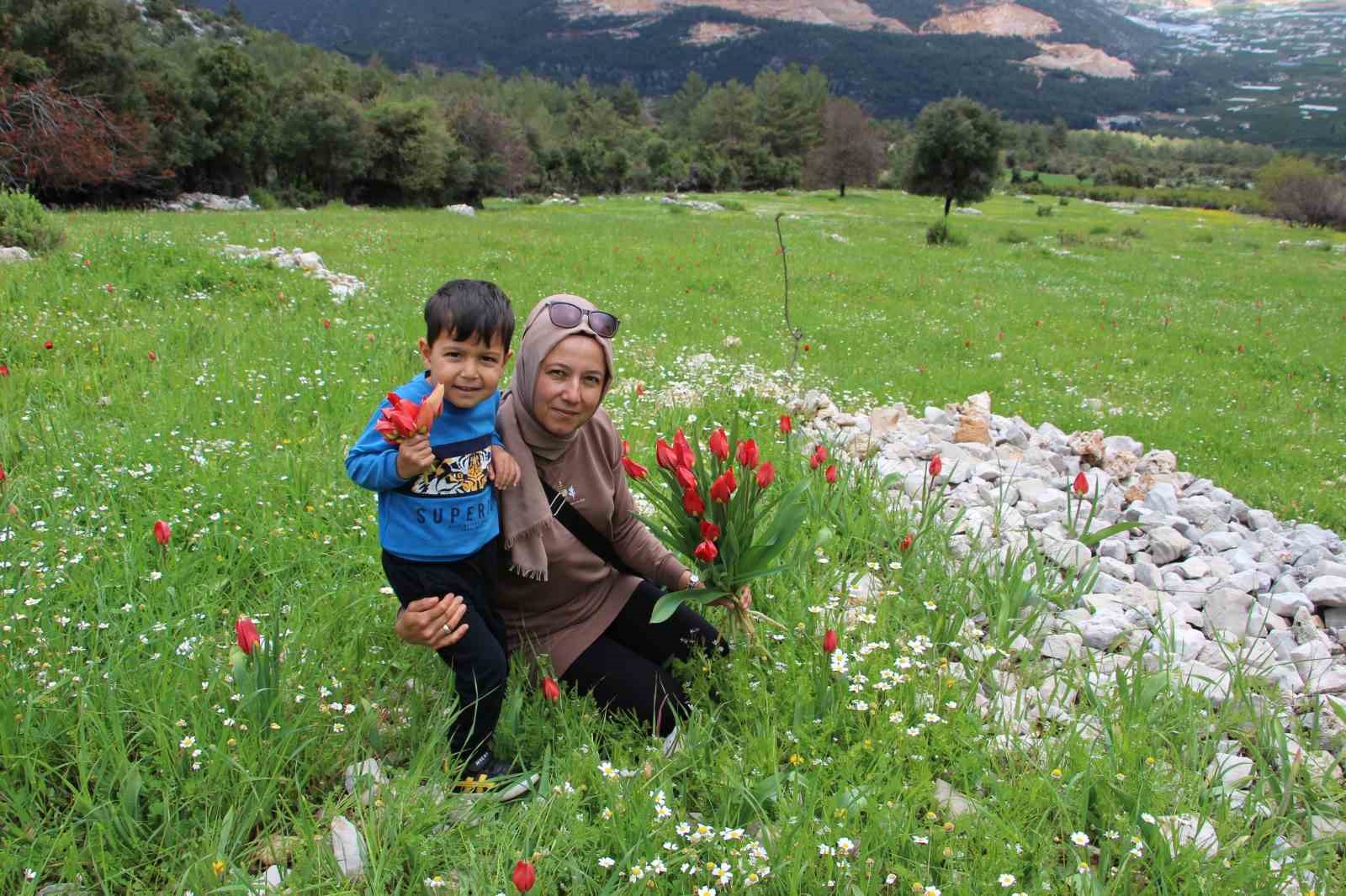 ANTALYA’NIN FİNİKE İLÇESİNDE, GÜLMEZ DAĞI ETEKLERİNDE NİSAN AYININ İLK GÜNLERİNDE