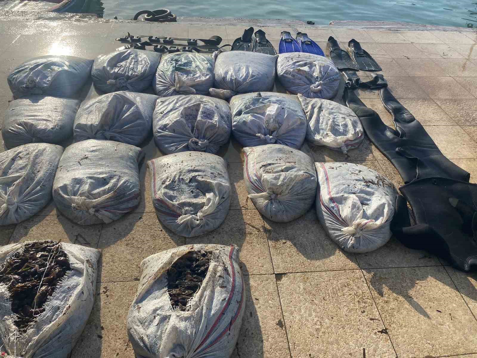 AYVALIK’TA SAHİL GÜVENLİKTEN DENİZ PATLICANI OPERASYONU