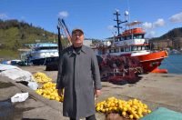 SON 40 YILIN EN BEREKETLİ PALAMUT SEZONUNU YAŞADIK