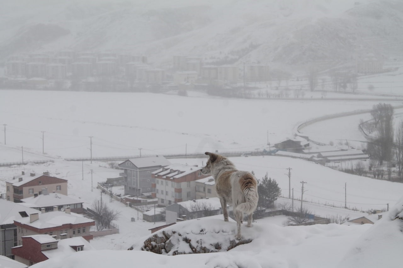 BAYBURT’UN YÜKSEK KESİMLERİNDE KAR YAĞIŞI