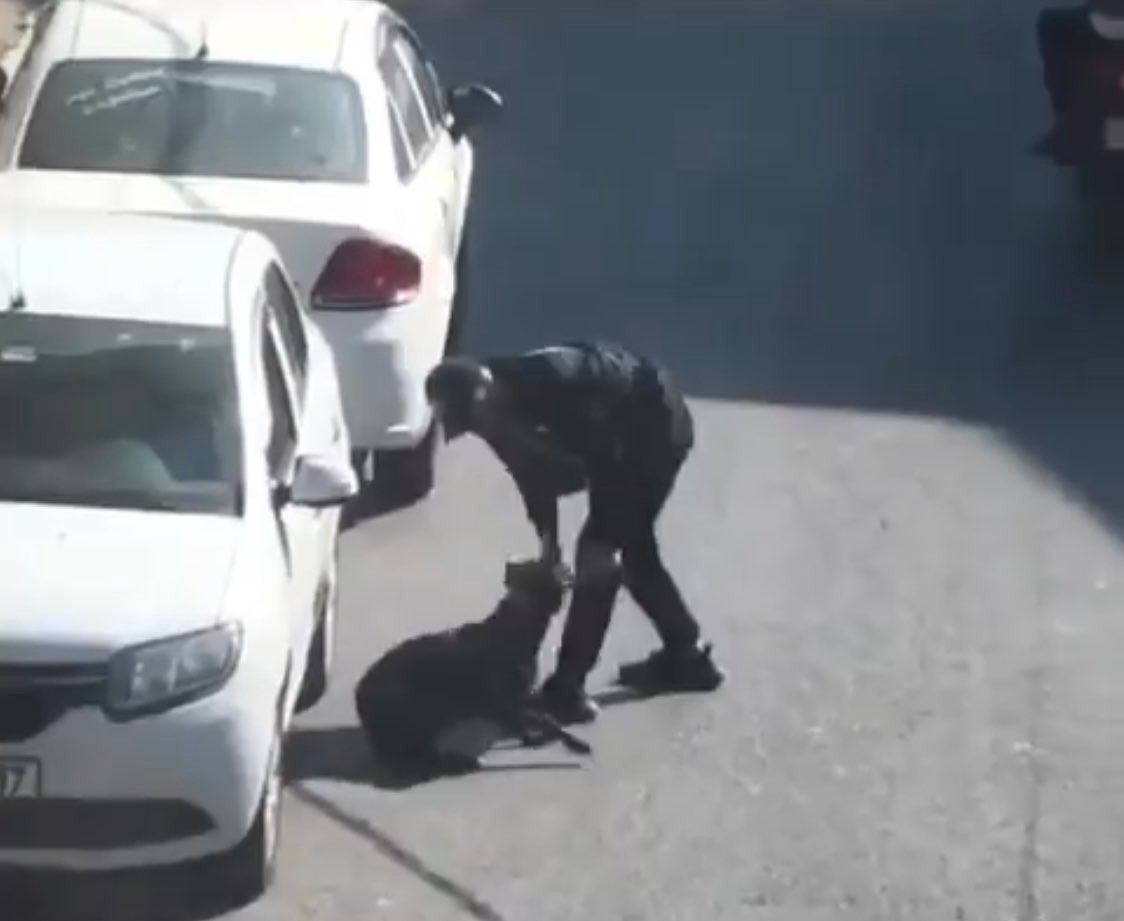 BEYOĞLU’NDA PİTBULL CİNSİ KÖPEĞE EZİYET ETTİĞİ TESPİT EDİLEN ŞAHIS POLİS