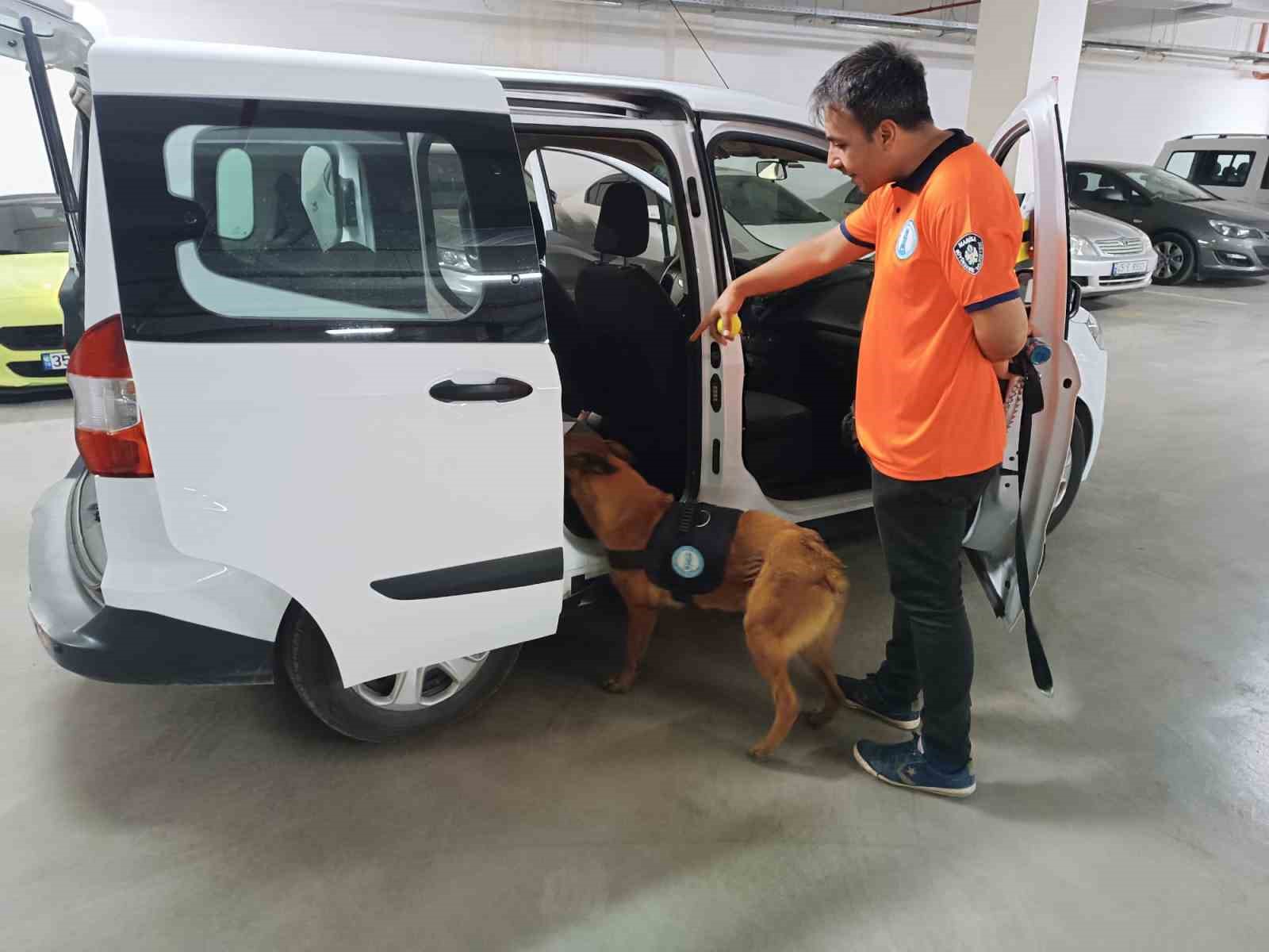 MANİSA BÜYÜKŞEHİR BELEDİYESİ KÖPEK EĞİTİM VE REHABİLİTASYON MERKEZİ’NDE EĞİTİM VE