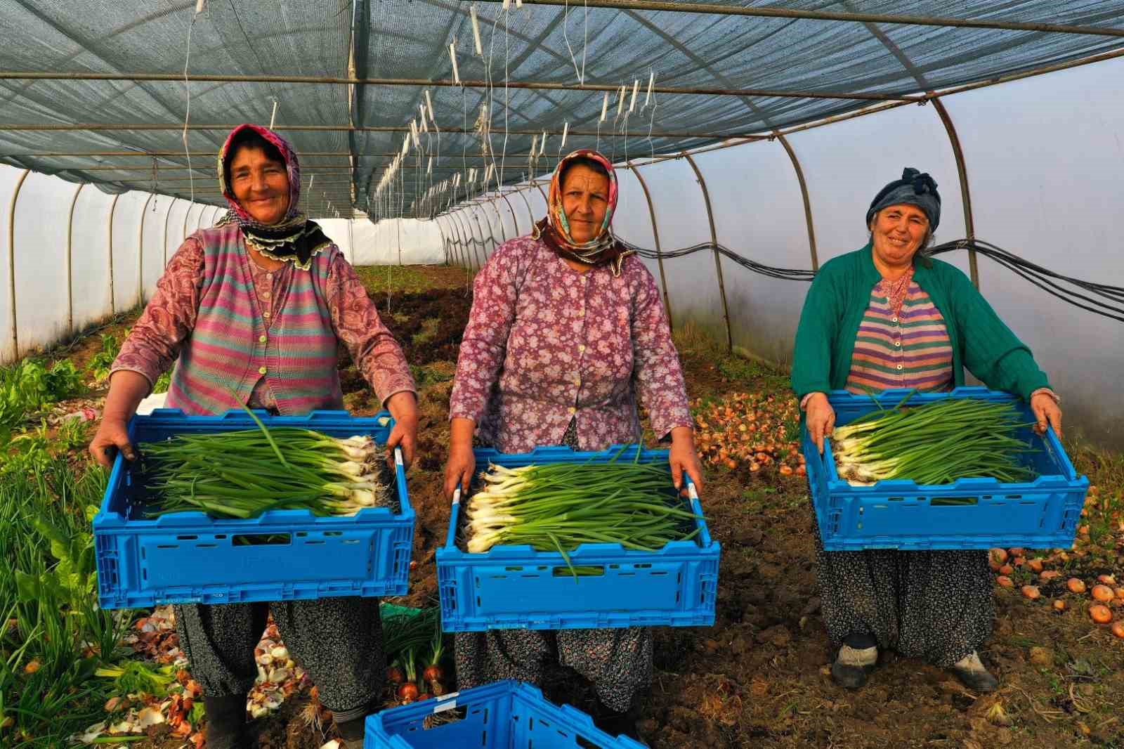 KOCAELİ BÜYÜKŞEHİR BELEDİYESİ'NİN YÜZDE 50 HİBELİ MODERN SERA VE SERA