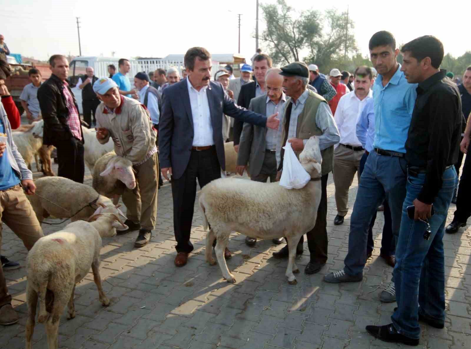 HAYVAN