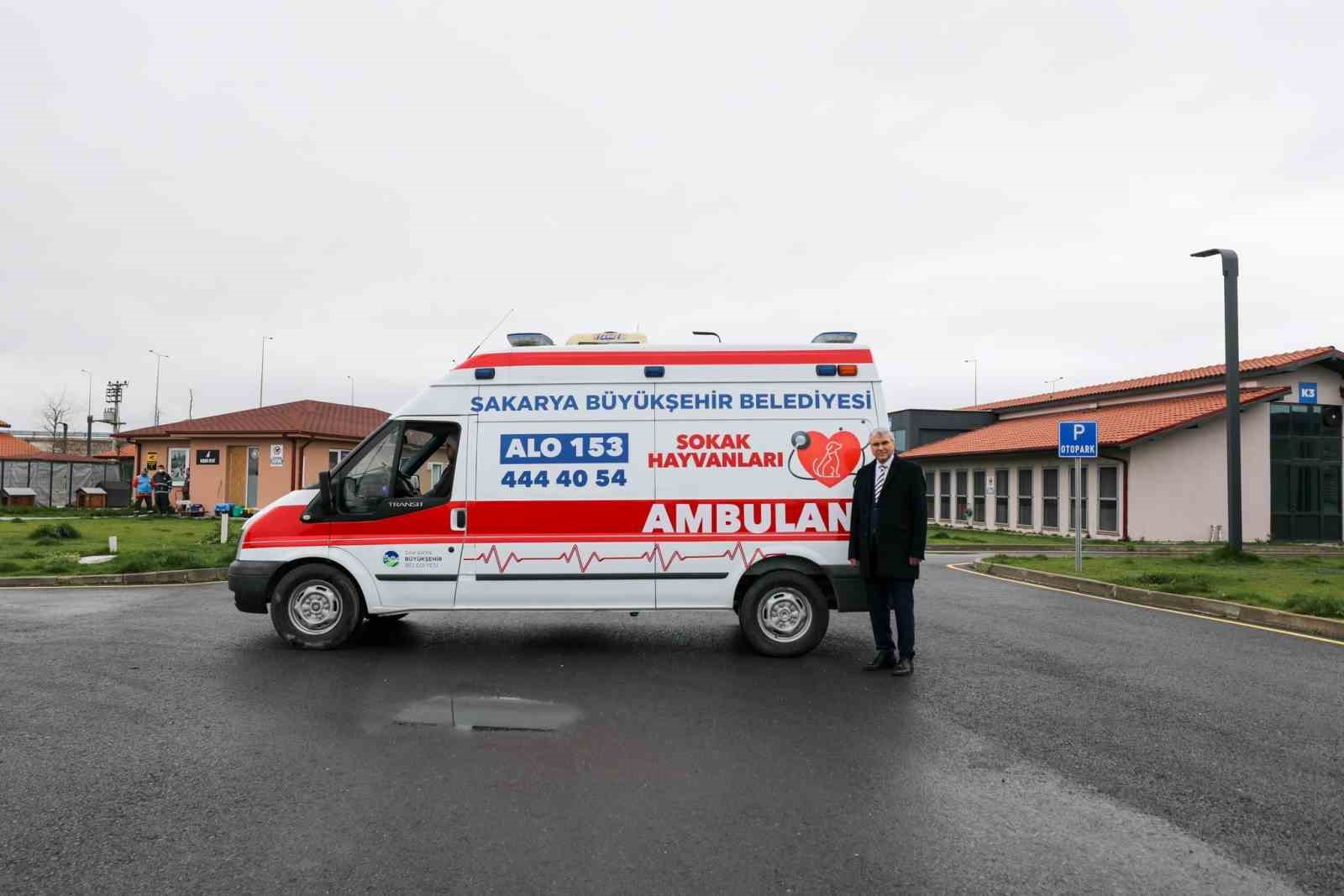 SAKARYA BÜYÜKŞEHİR TARAFINDAN HAYATA GEÇİRİLEN SOKAK HAYVANLARI GEÇİCİ BAKIM VE