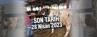 İL DIŞINA KURBANLIK SEVK EDECEK YETİŞTİRİCİLERİN 28 NİSAN 2023 TARİHİNE