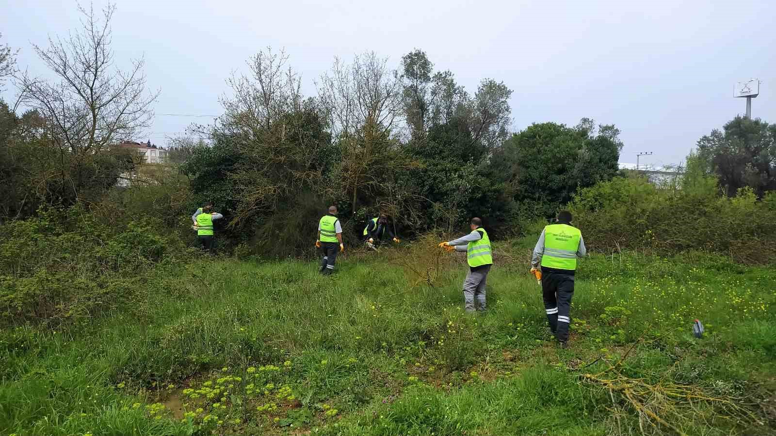 DARICA’DA, BAHARIN GELMESİYLE BİRLİKTE İLÇE GENELİNDEKİ PARK VE BAHÇELERDE ÇALIŞMA