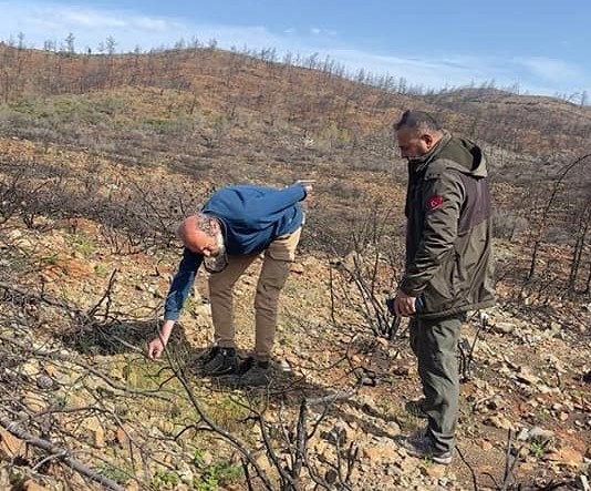 DATÇA’DAKİ YANGIN SAHASINDA İNCELEMELERDE BULUNULDU