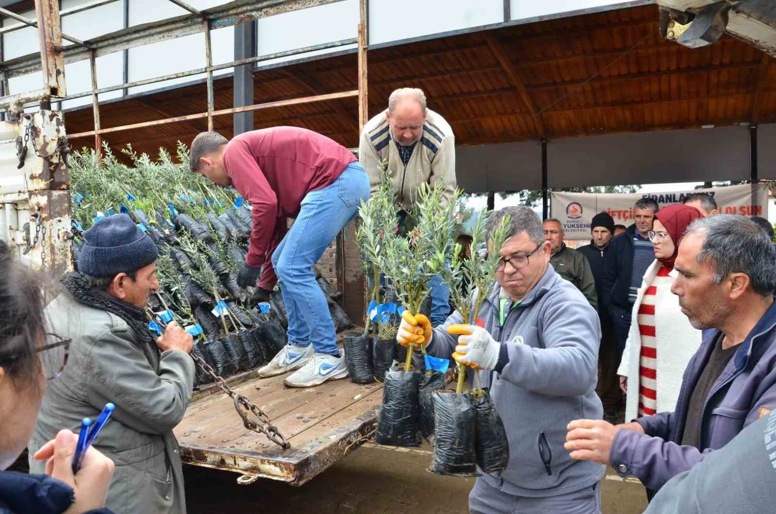 DENİZLİ’DE ZEYTİN YETİŞTİRİCİLİĞİNİN YAYGINLAŞTIRILMASI VE ÜRETİCİLERE SERTİFİKALI FİDAN KULLANMA ALIŞKANLIĞININ