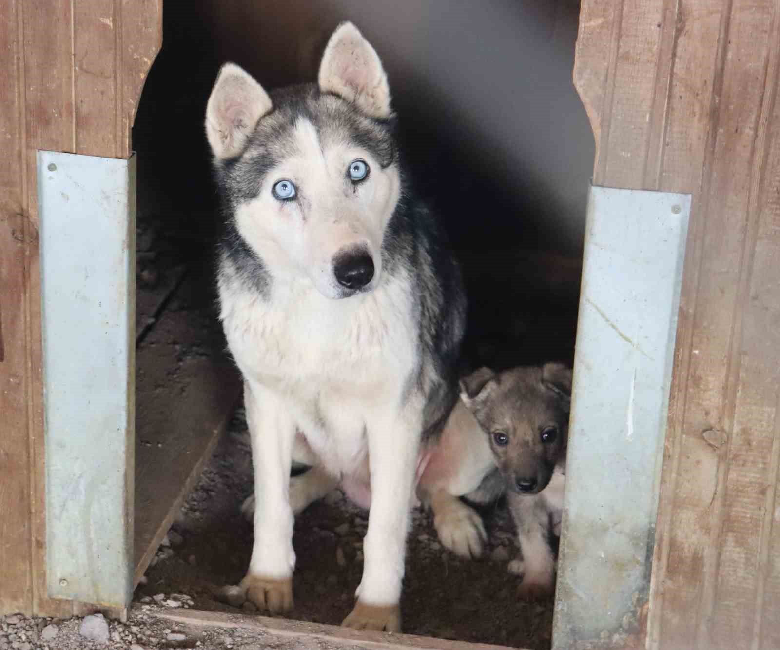 6 ŞUBAT’TAKİ DEPREMLERİN ARDINDAN KAHRAMANMARAŞ VE HATAY’DAN KAYSERİ’YE GETİRİLEN 150