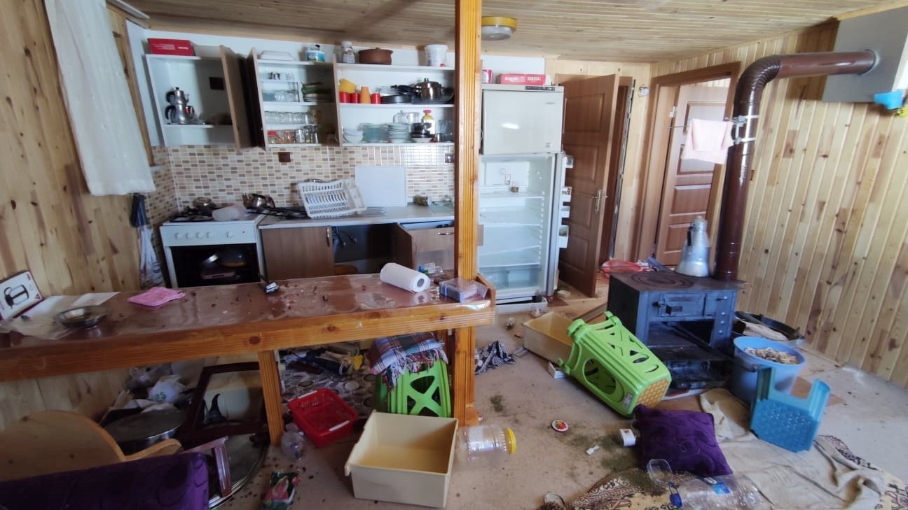 KIŞ UYKUSUNA YATMAYAN DEV AYI, 4 AYDIR TRABZON İLE GÜMÜŞHANE