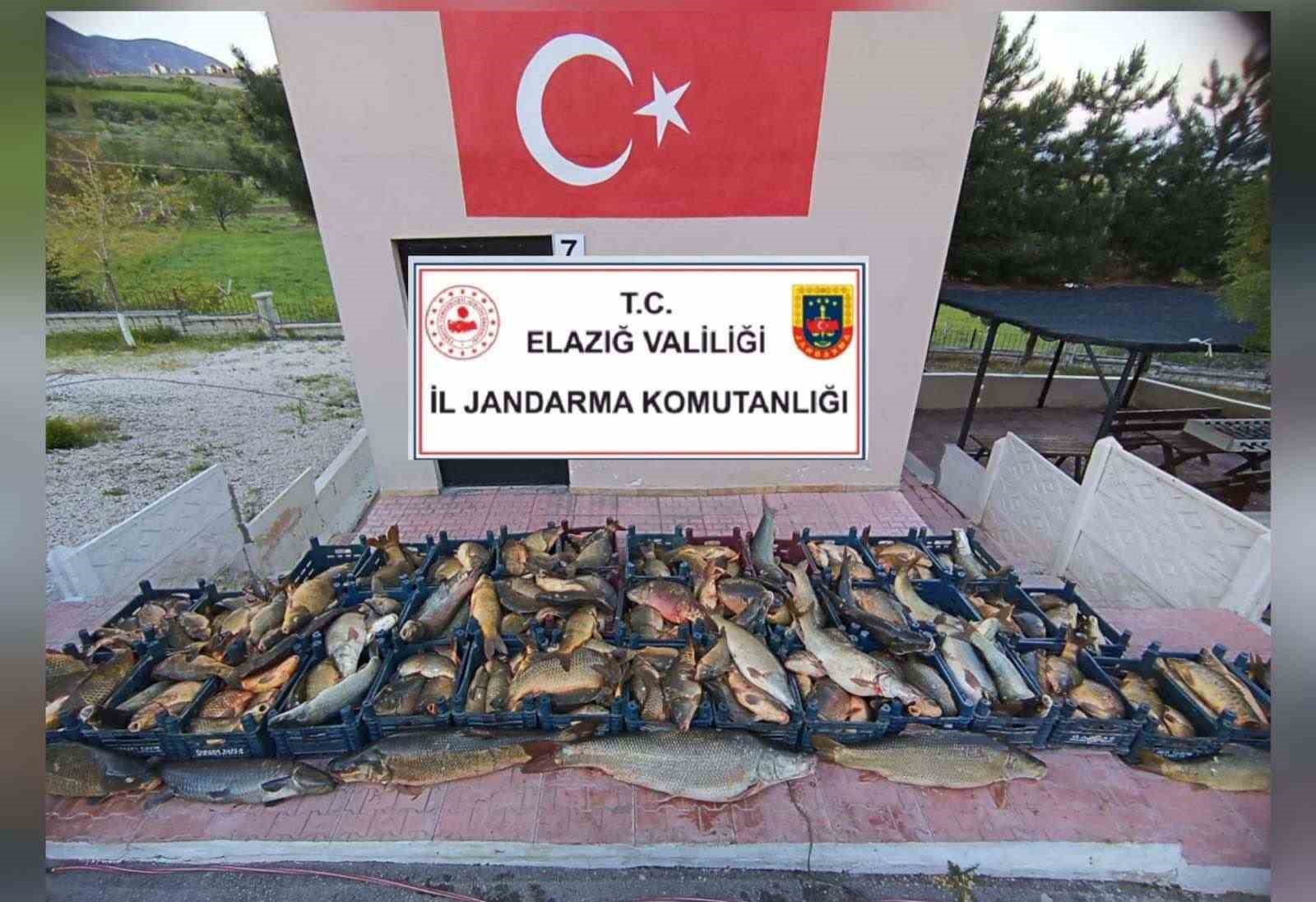 ELAZIĞ’DA İL JANDARMA KOMUTANLIĞI EKİPLERİ TARAFINDAN 2 TON 500 KİLOGRAM