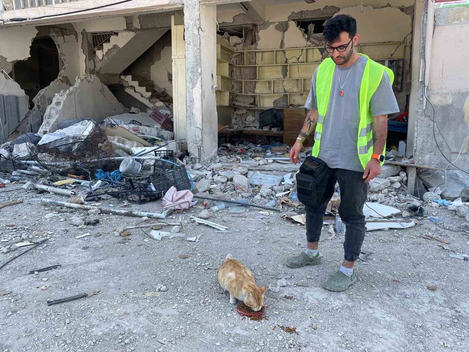 HATAY’DA YAŞANAN DEPREM SONRASINDA AĞIR HASAR ALAN BİNALARDA EVCİL HAYVANLARI