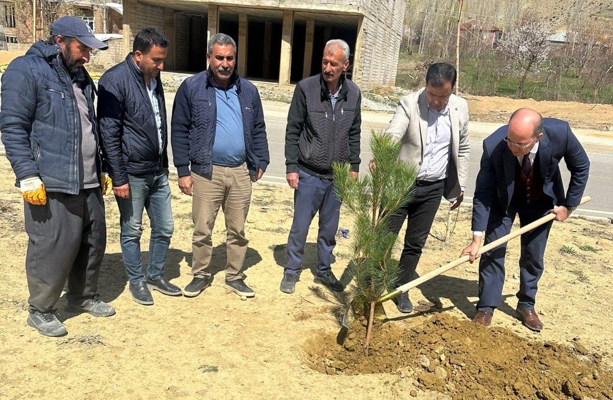 HAKKARİ’NİN YÜKSEKOVA İLÇESİNİN ESENDERE BELDESİNDE 100 ÇAM FİDANI TOPRAKLA BULUŞTURULDU.
