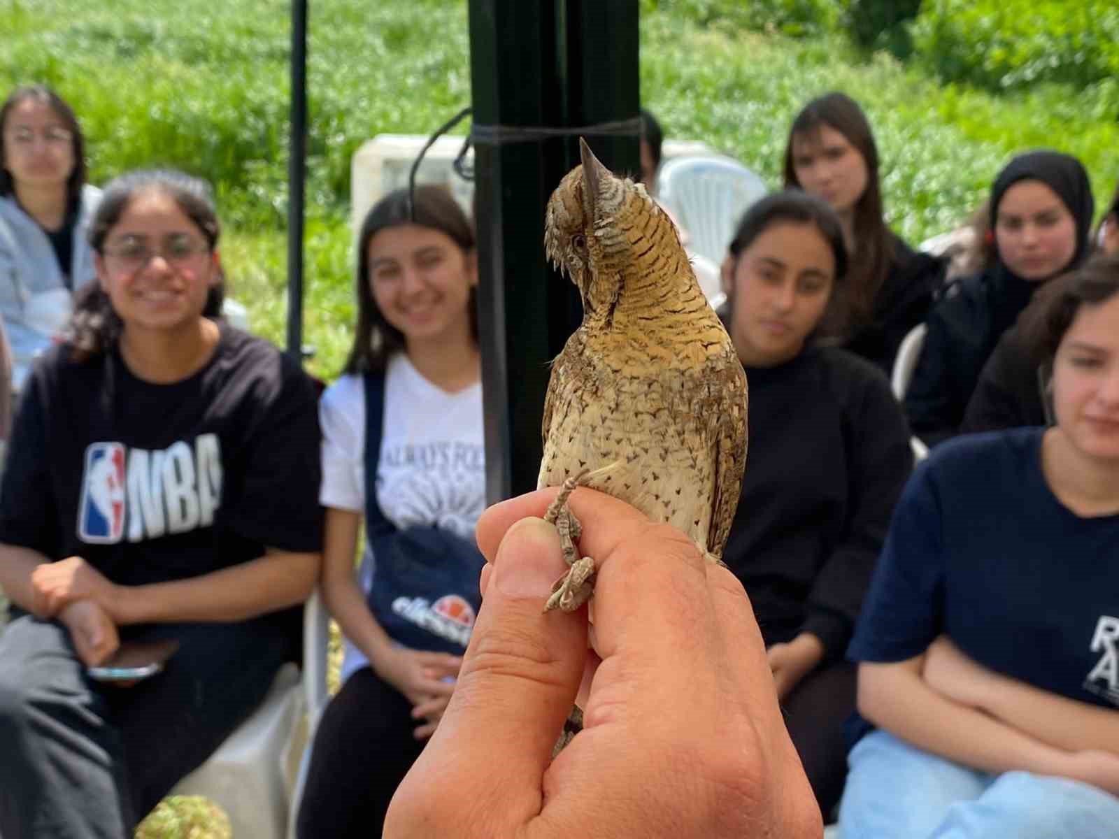 İLK KEZ AĞAÇ İNCİR KUŞU (ANTHUS TRİVİALİS), ESTONYA'DAN GÖÇ ETTİĞİ