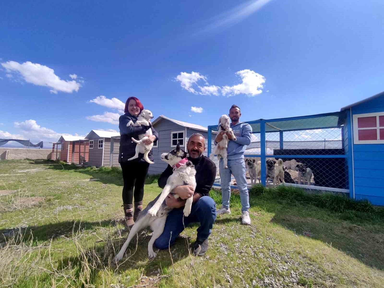 NİĞDE’DE BİR AİLE HASTA, YARALI YADA TERK EDİLMİŞ SOKAK HAYVANLARINI