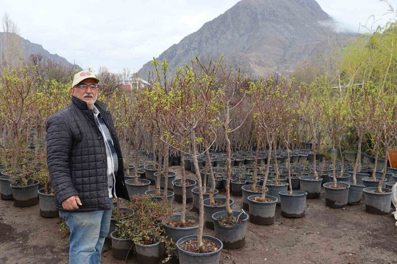 ERZURUM’UN UZUNDERE İLÇESİNDE 20 YILDIR FİDE ÜRETİCİLİĞİ YAPAN DOĞU ANADOLU’NUN