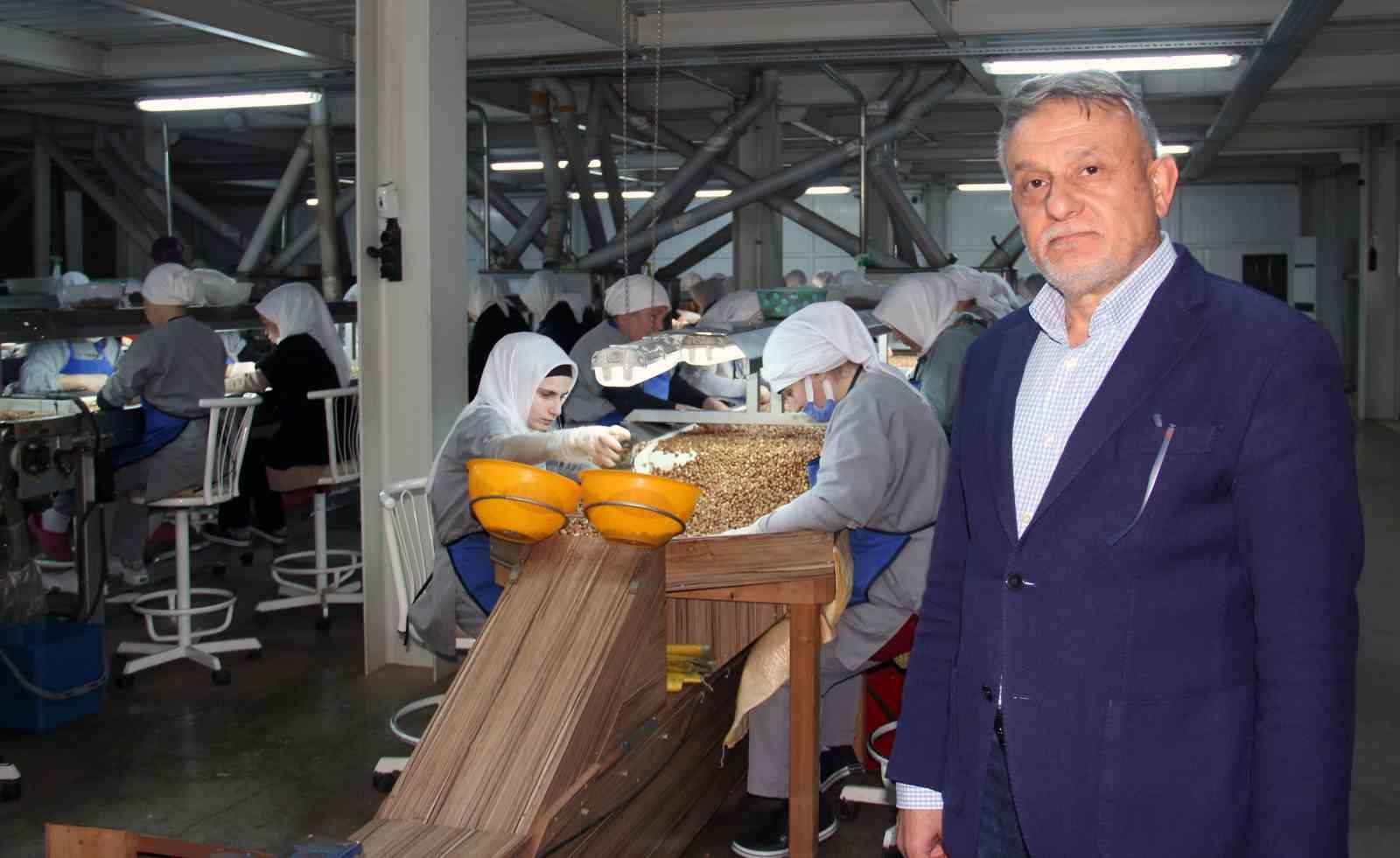 GİRESUNLU FINDIK SANAYİCİSİ MUSTAFA DEMİRCİ, YENİ FINDIK SEZONUNDA YÜKSEK REKOLTE