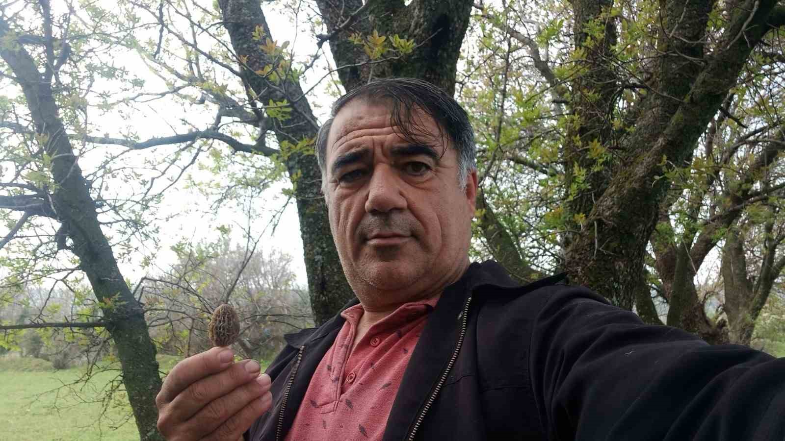 NİSAN AYINDA NİSAN YAĞMURLARIYLA BİRLİKTE ORMANLIK ALANLARIN GÜNEYE BAKAN YAMAÇLARINDA