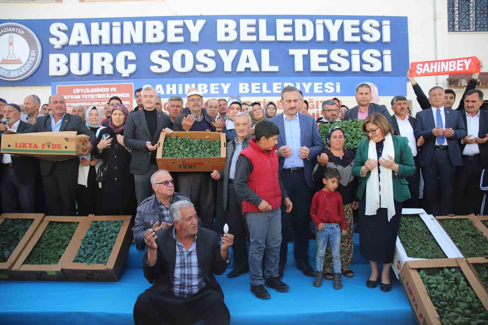 GAZİANTEP’TE ÇİFTÇİLERE 11 MİLYON 500 BİN FİDE DAĞITILDI
