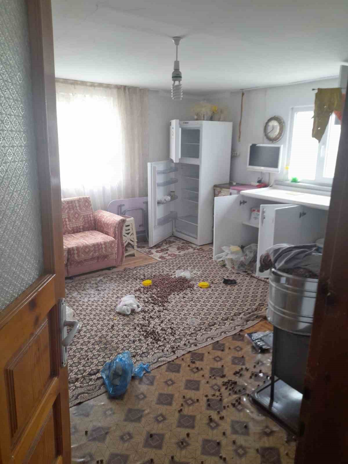 GÜMÜŞHANE’NİN KÜRTÜN İLÇESİNDE YİYECEK ARAYIŞINDAKİ AYILAR YAYLA EVLERİNE DADANDI. AÇ
