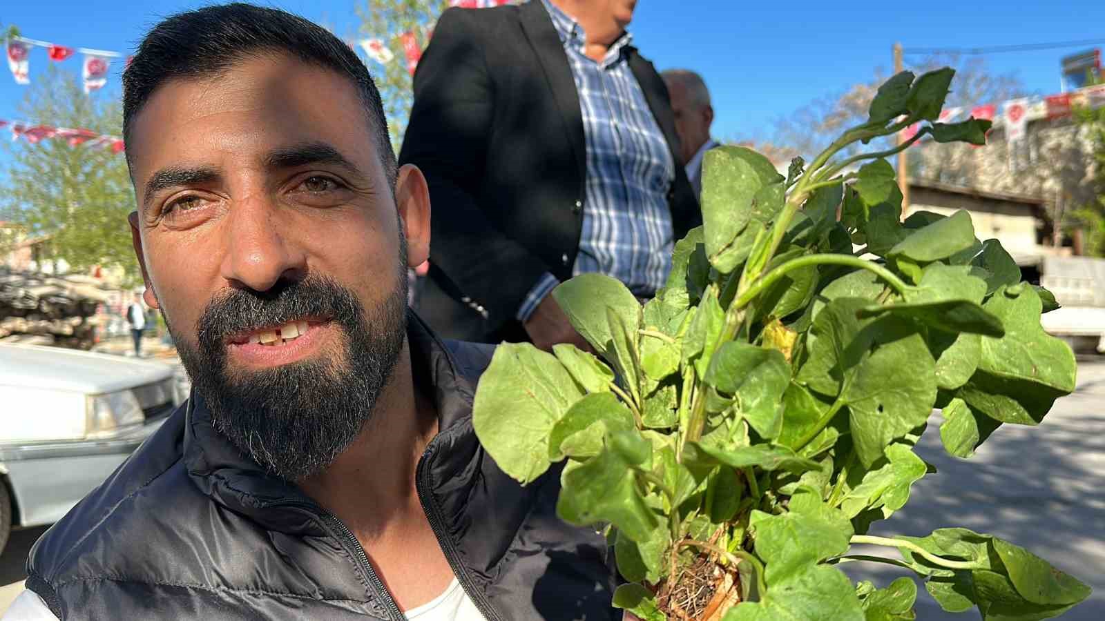 DAĞLARDAN TOPLANAN ‘KUZU KULAĞI’ TEZGAHLARDA YERİNİ ALMAYA BAŞLADI