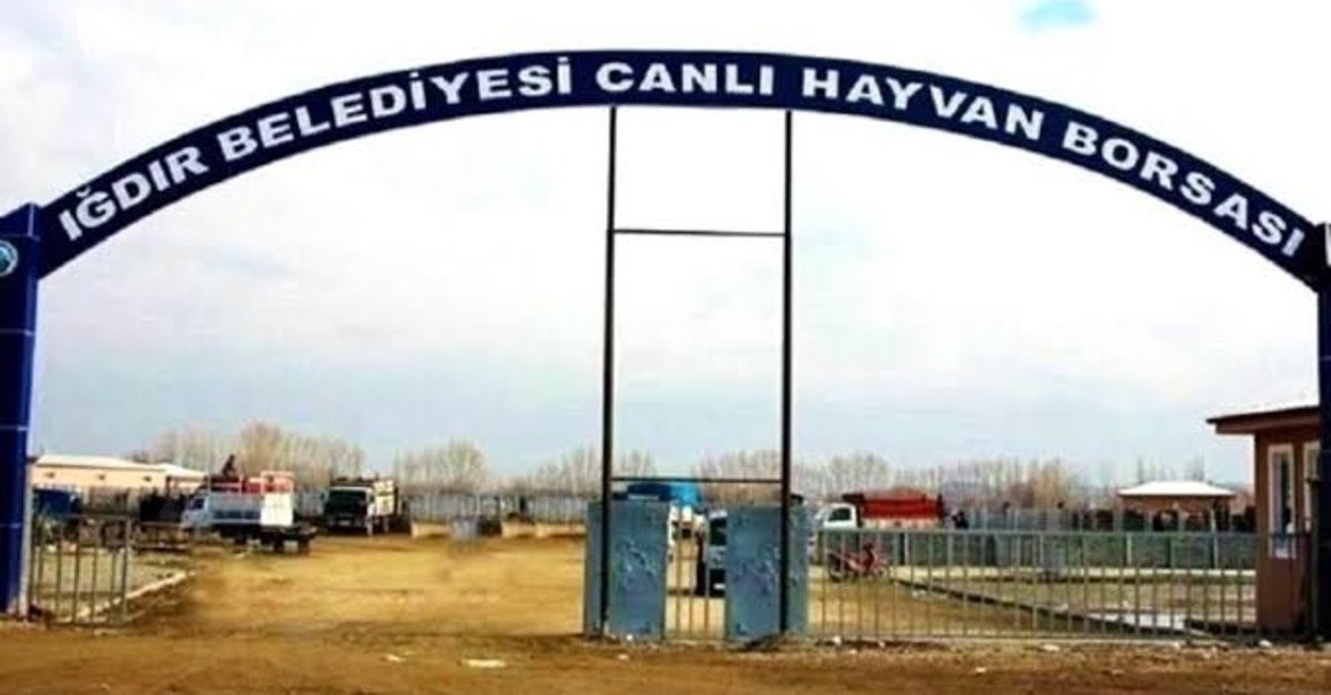 IĞDIR CANLI HAYVAN BORSASI YARIN AÇILIYOR