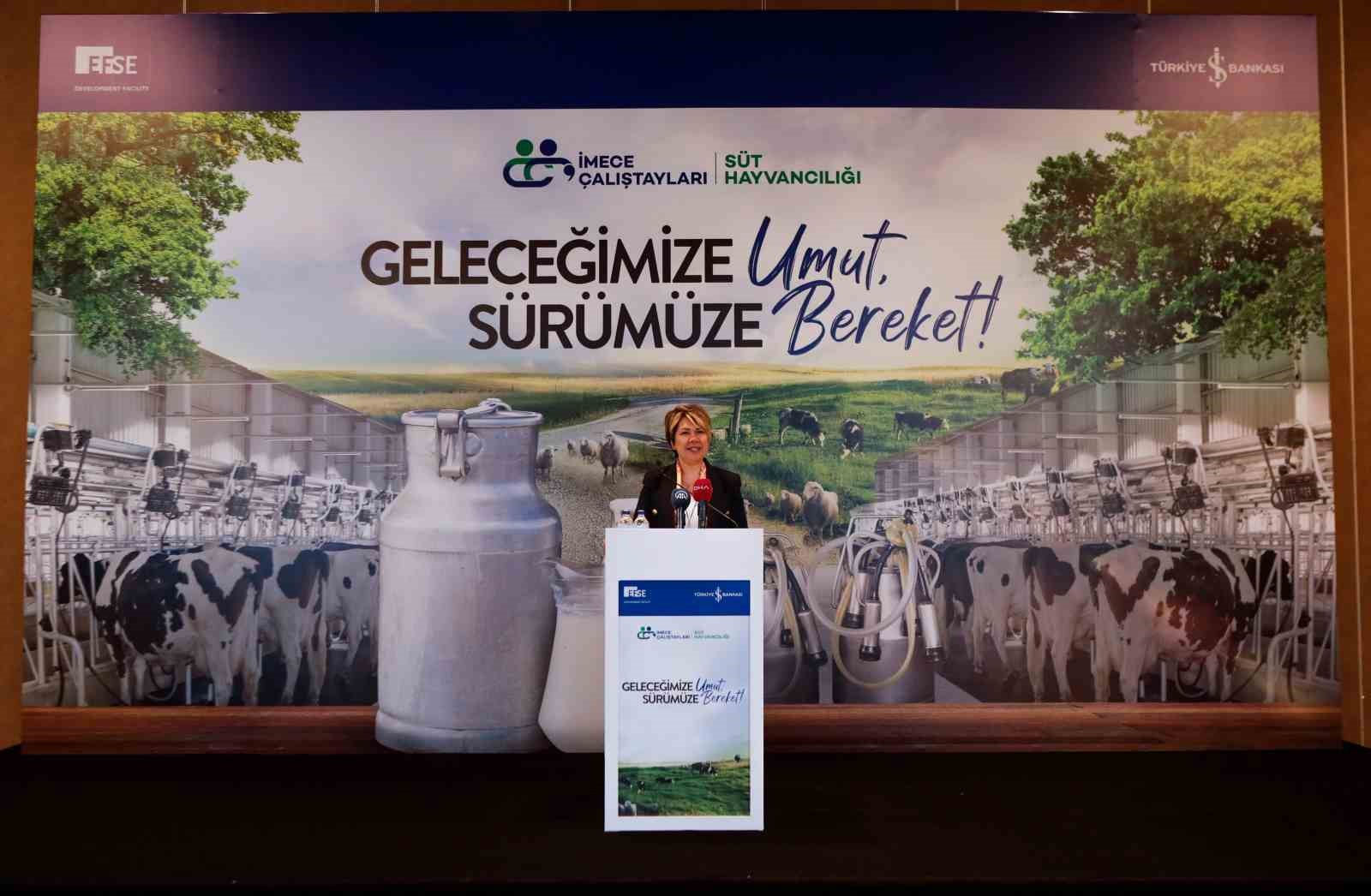 TÜRKİYE'DEKİ SÜT HAYVANCILIĞININ GELECEĞİNE DAİR KISA VE UZUN VADELİ RİSKLER,