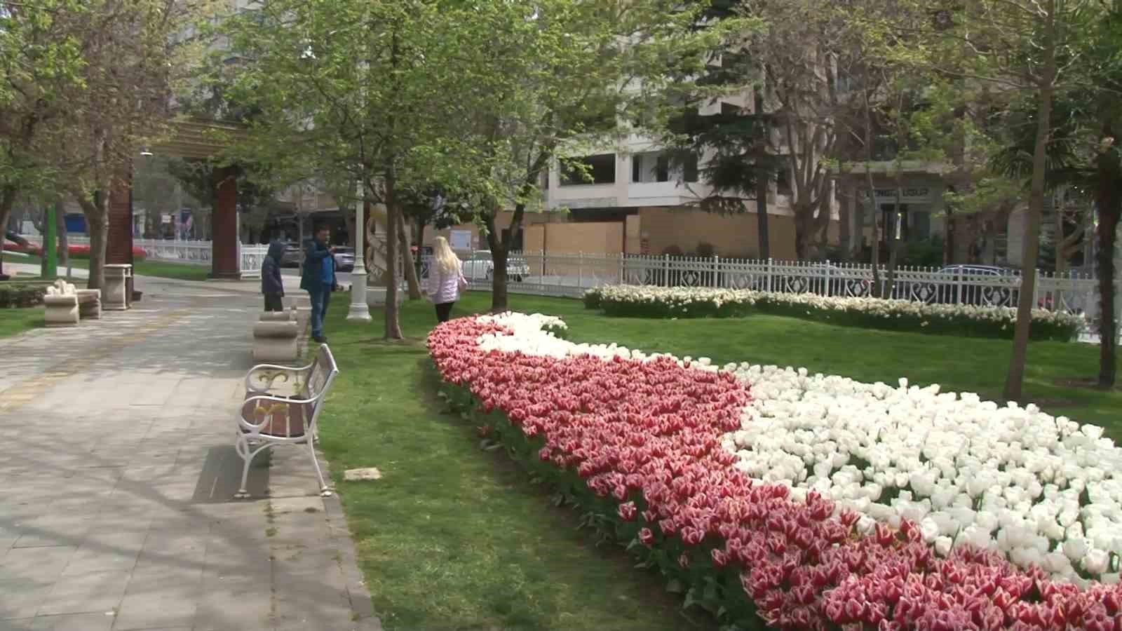 GÖZTEPE 60. YIL PARKI'NA 70 ÇEŞİT OLMAK ÜZERE 2 MİLYON