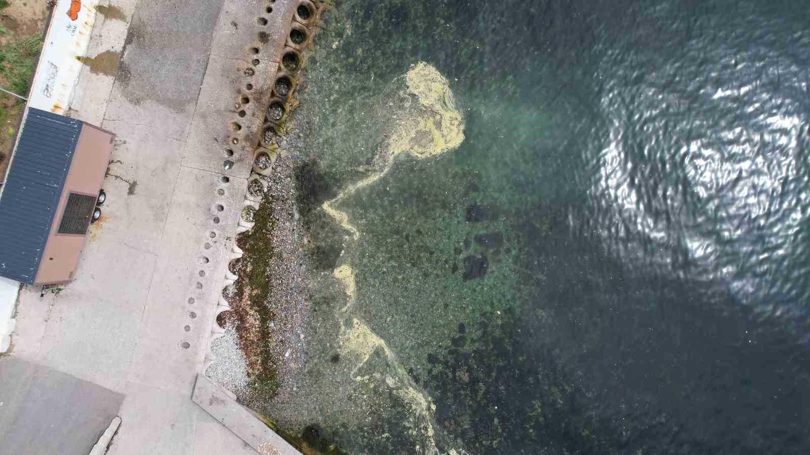 KADIKÖY'DE CADDEBOSTAN SAHİLİ'NDE OLUŞAN VE MÜSİLAJI ANDIRAN GÖRÜNTÜLER DİKKAT ÇEKTİ.