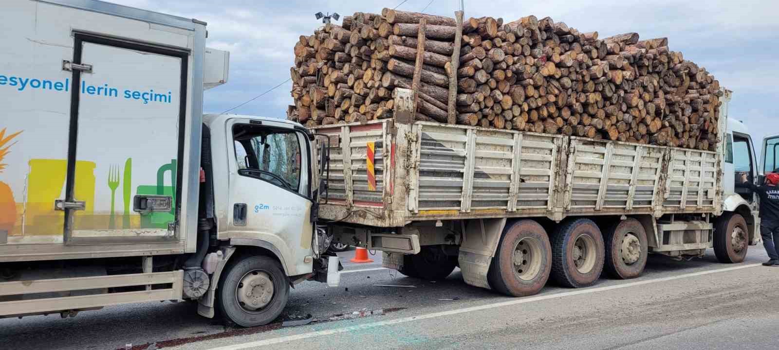 SAKARYA’NIN AKYAZI İLÇESİ D-100 KARA YOLUNDA TOMRUK YÜKLÜ KAMYONA AYNI
