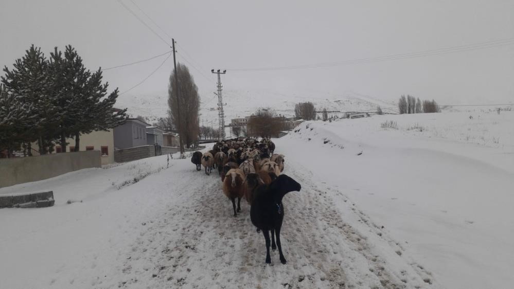ERZİNCAN'DA NİSAN AYINDA MERALARA ÇIKARILAN KOYUN SÜRÜLERİNİN GERİ DÖNÜŞ YOLCULUĞUNDA