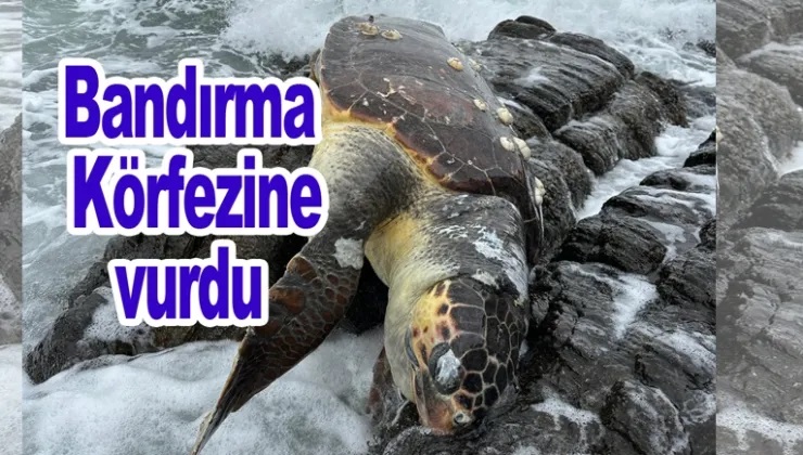 Marmara Denizi’nde şaşırtan olay