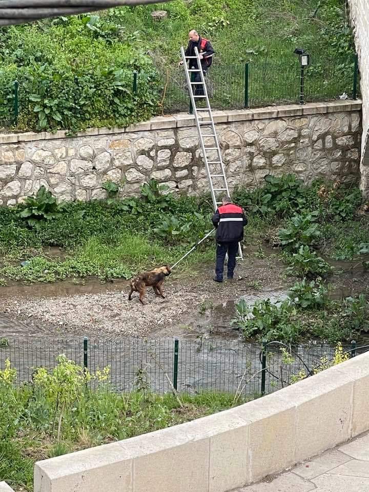 KAVAK’TA YÜREK ISITAN OPERASYON