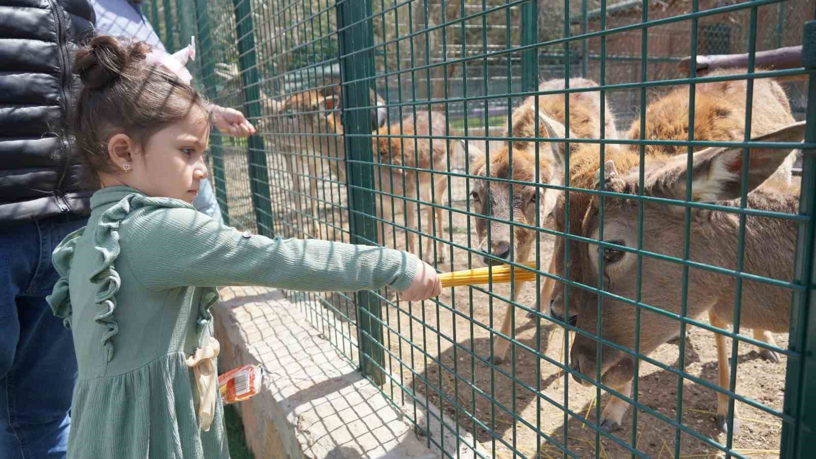 KEÇİÖREN BELEDİYESİ DOĞAL YAŞAM PARKI HAVALARIN ISINMASIYLA BİRLİKTE VATANDAŞLARDAN YOĞUN