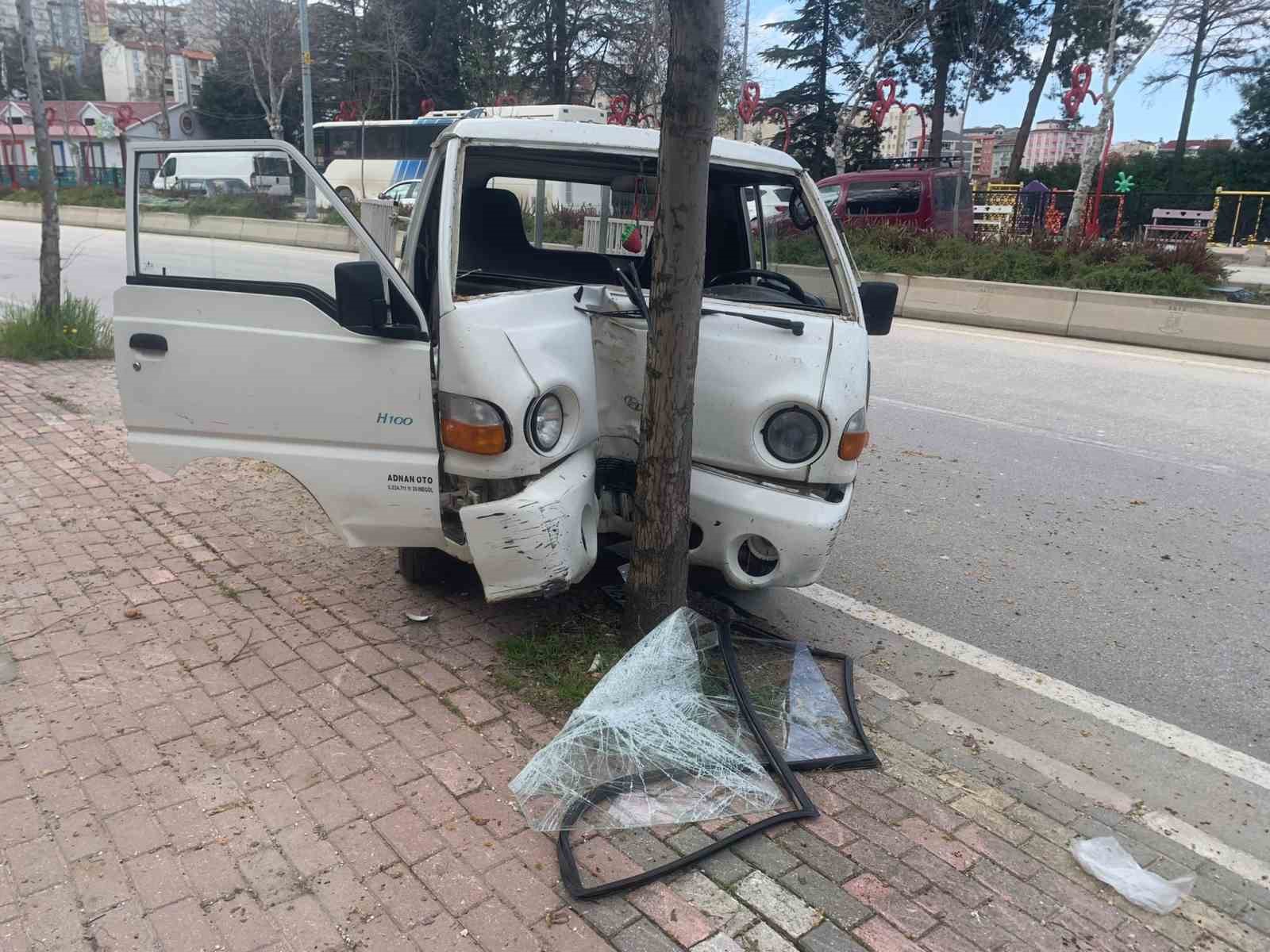 KONTROLDEN ÇIKAN KAMYONET AĞACA ÇARPARAK DURABİLDİ