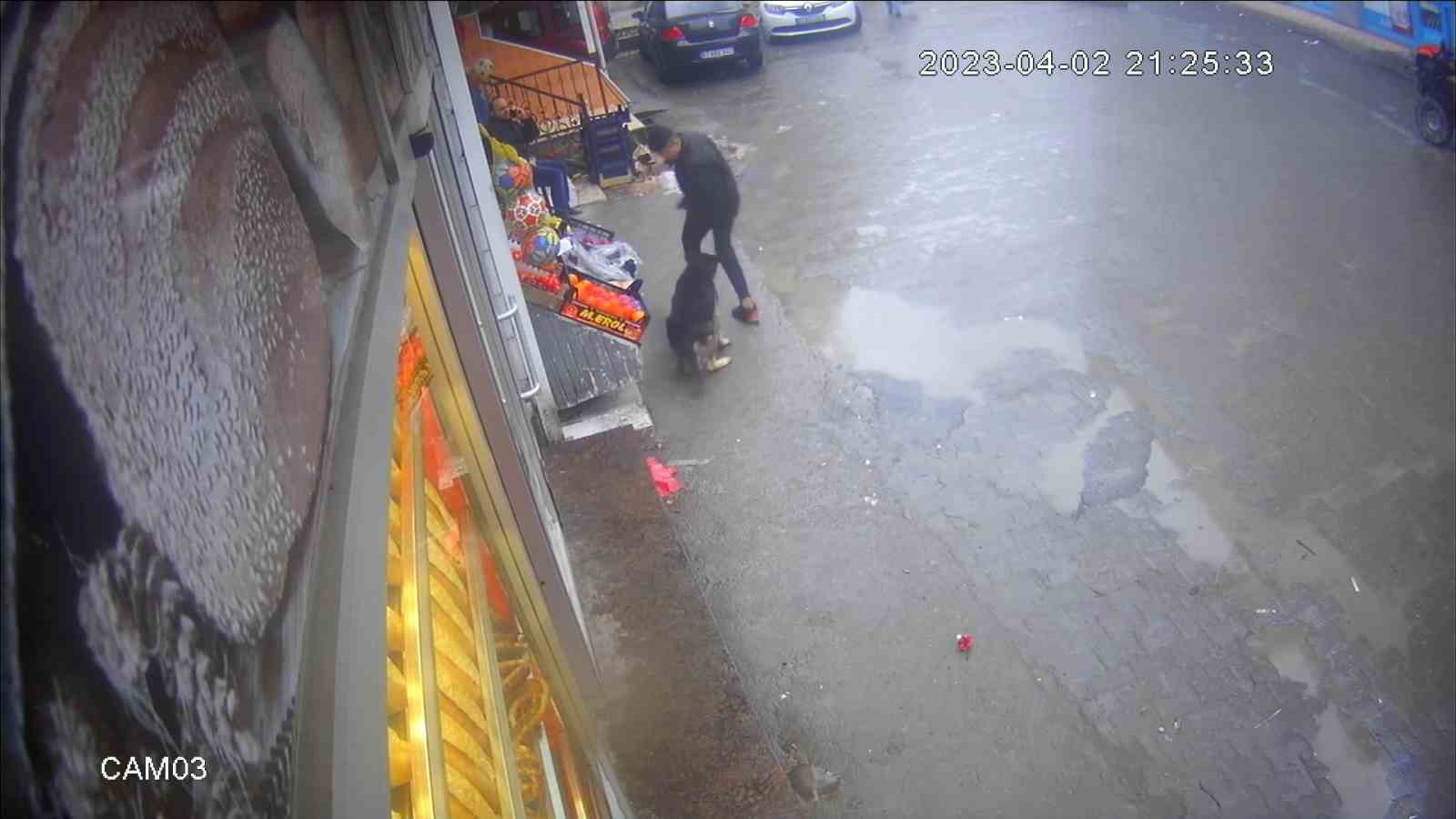 ZONGULDAK'IN ALAPLI İLÇESİ MOLLABEY KÖYÜNDE, KÖPEĞİN ÇOCUĞA SALDIRMA ANI BİR